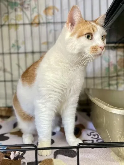 Charlotte thumbnail 4