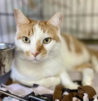 Charlotte thumbnail 5