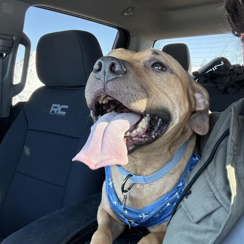 Smiley Wiley thumbnail 2