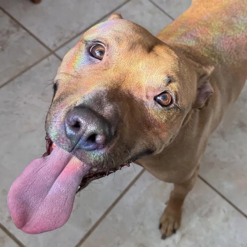 Smiley Wiley thumbnail 4