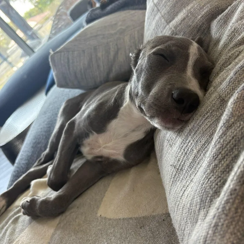 Oakley