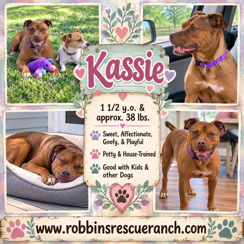 Kassie thumbnail 2