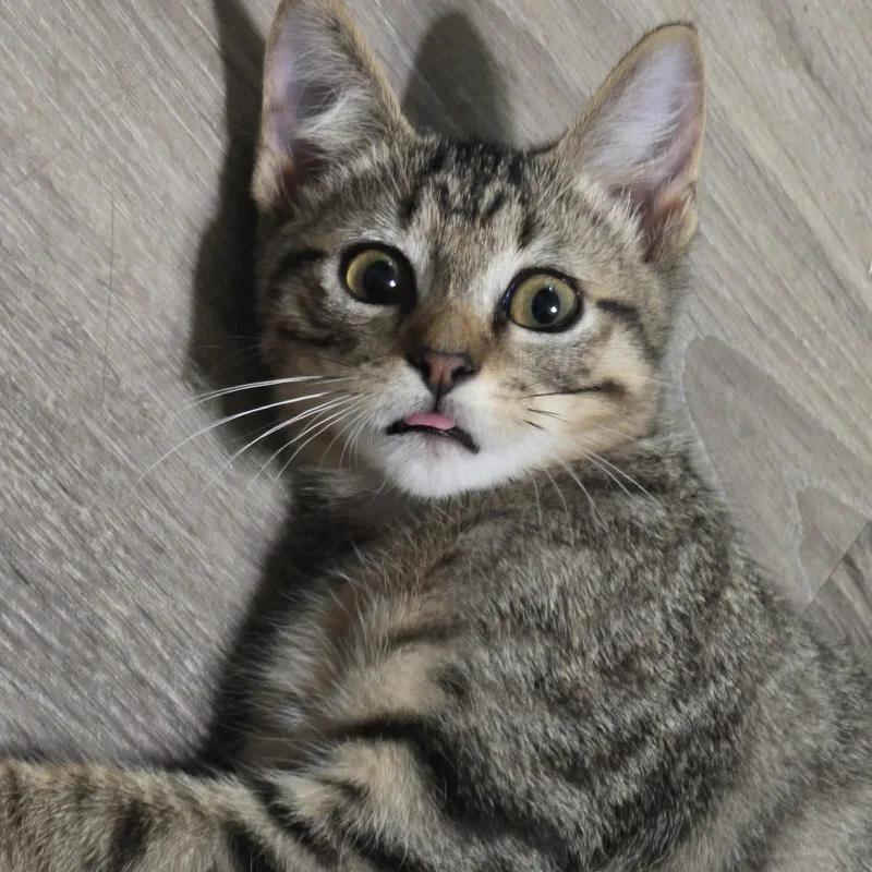 Theodore thumbnail 3