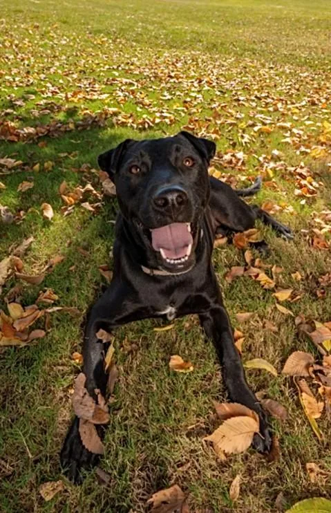 Ebony  Precious Girl! thumbnail 4