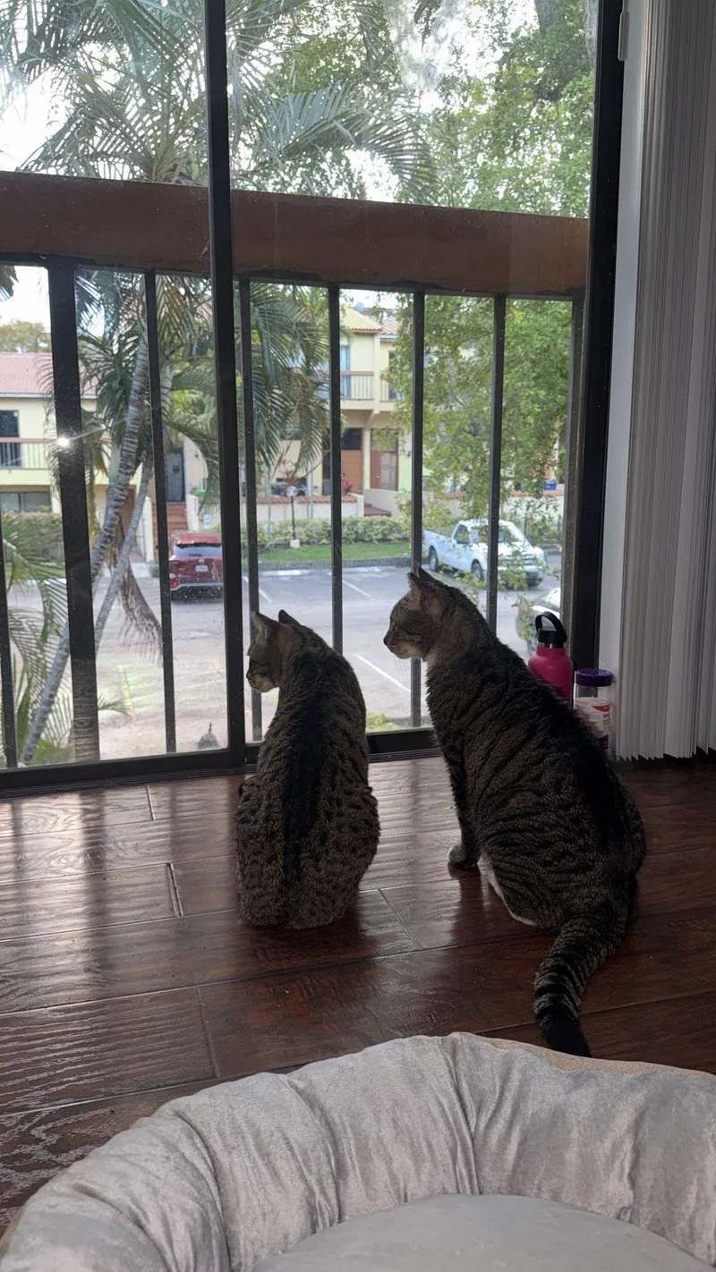 Little Guy & Big thumbnail 3