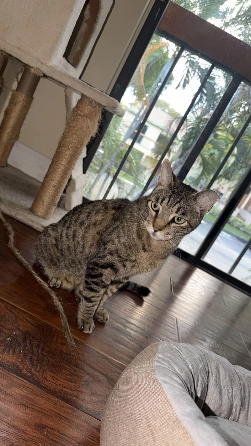 Little Guy & Big thumbnail 4