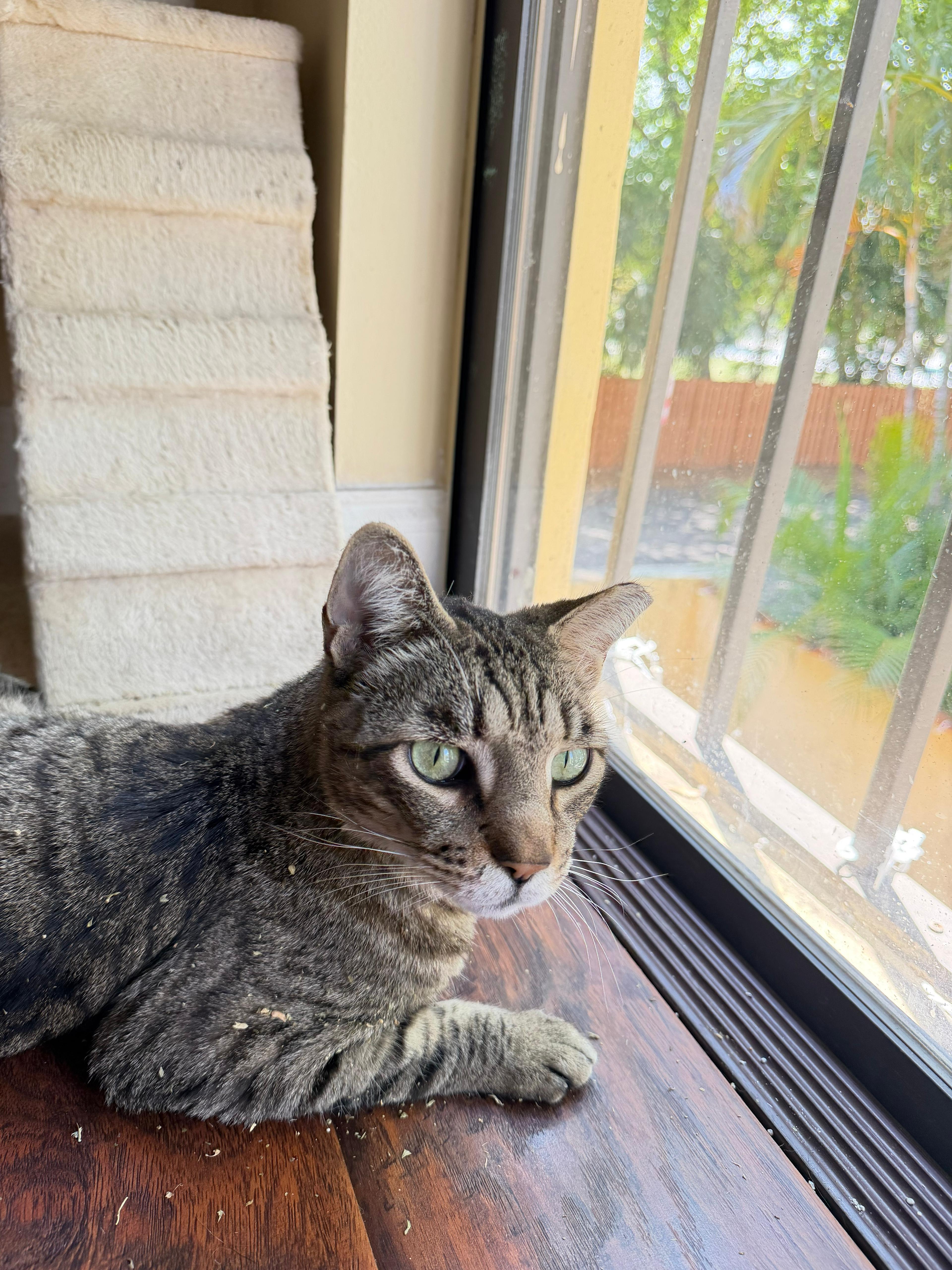 Little Guy & Big thumbnail 5