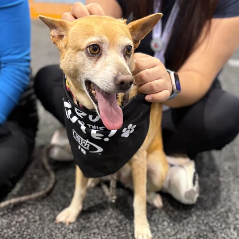 Pebbles  Costa Mesa thumbnail 4