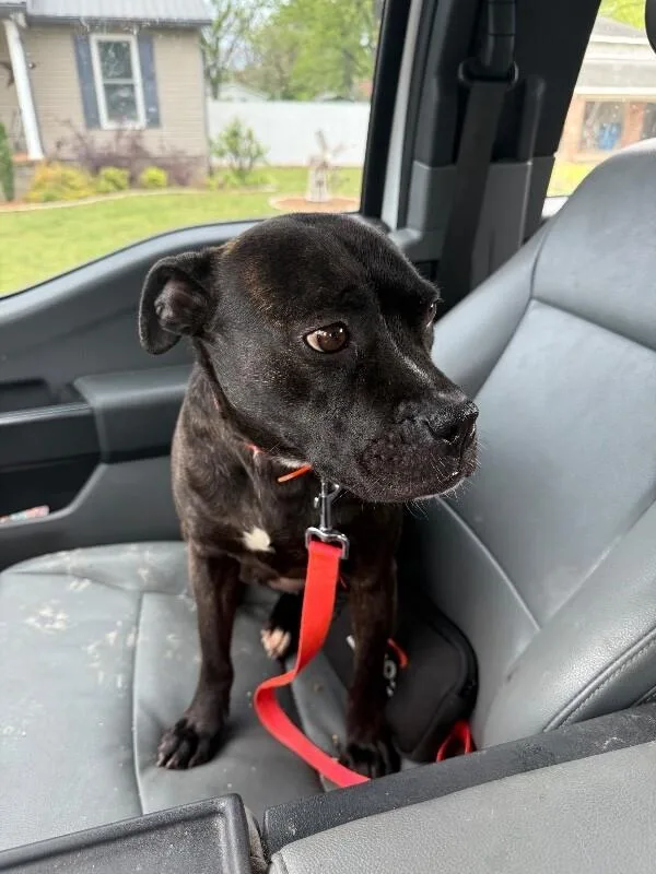 Girlfriend thumbnail 2