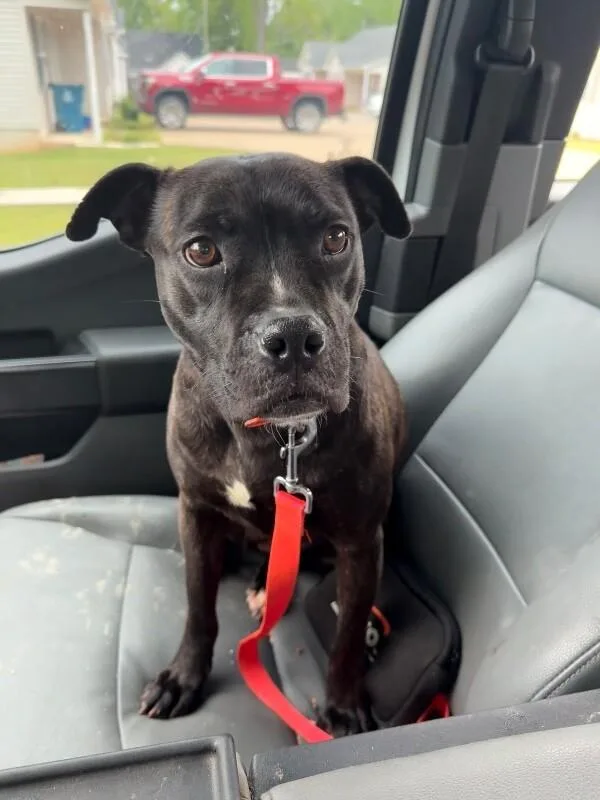 Girlfriend thumbnail 3