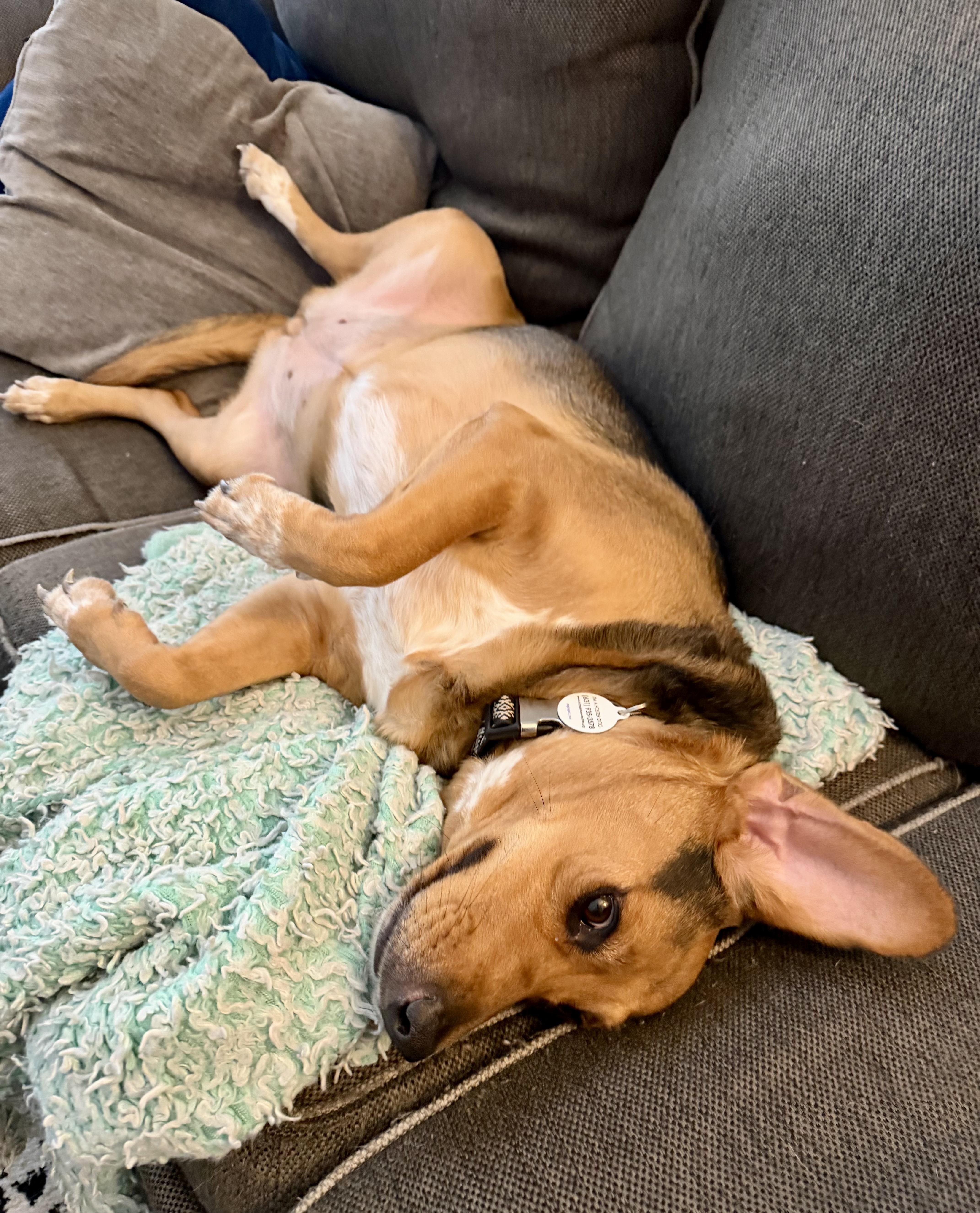 Libby thumbnail 6