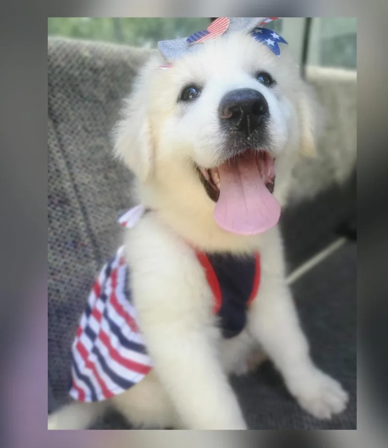 Winnie