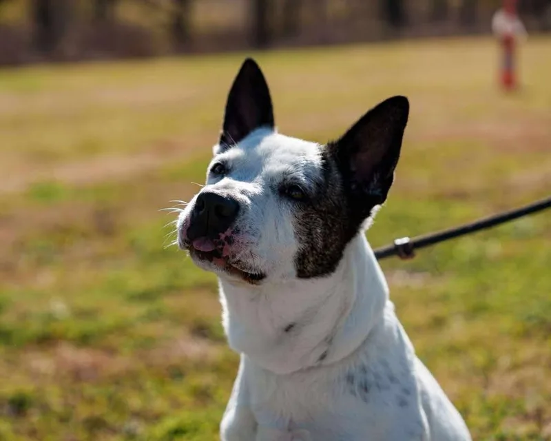 Neighbor thumbnail 2