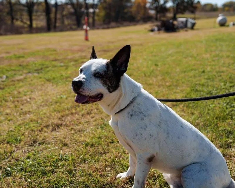 Neighbor thumbnail 3