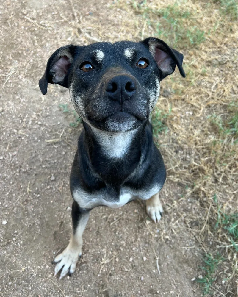 Gretchen thumbnail 3