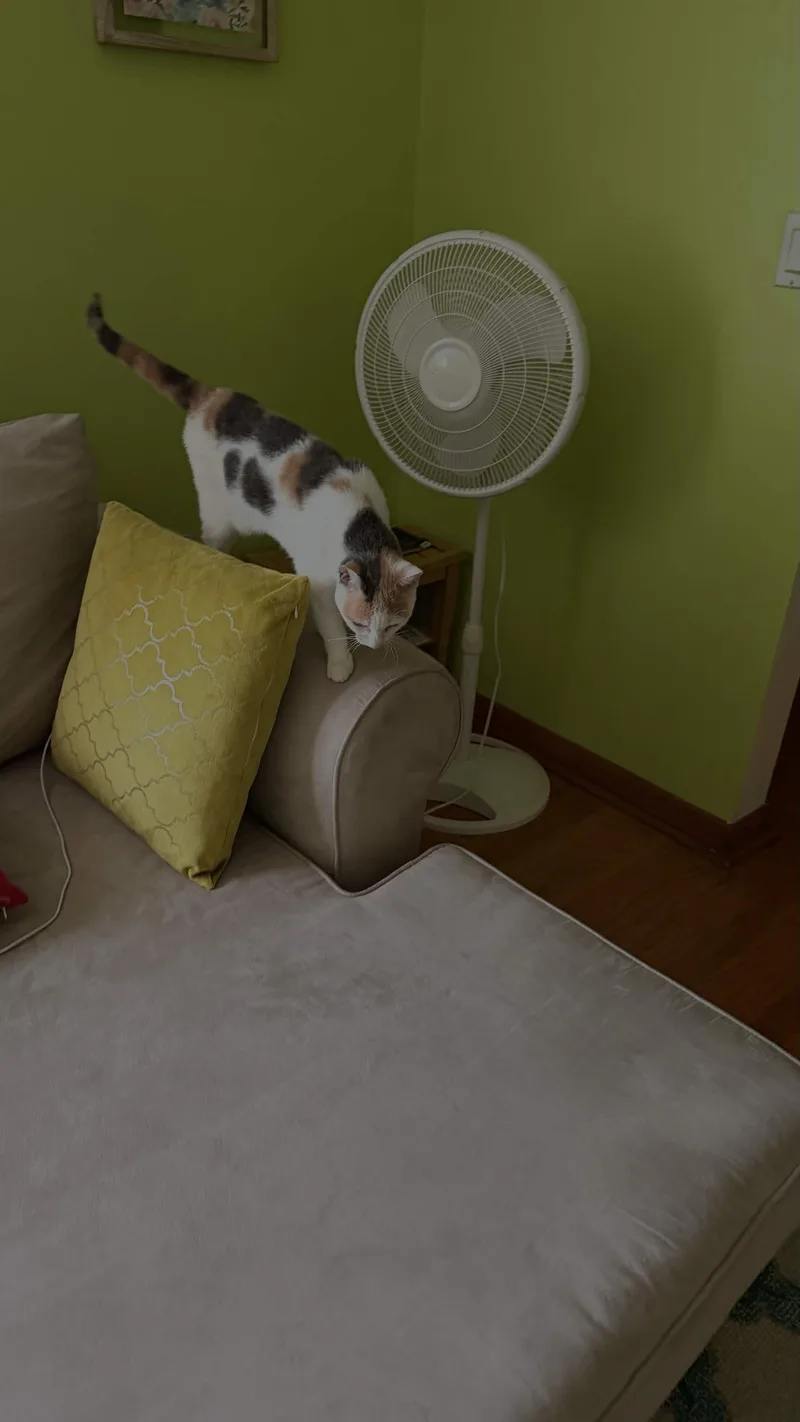 Missy thumbnail 2