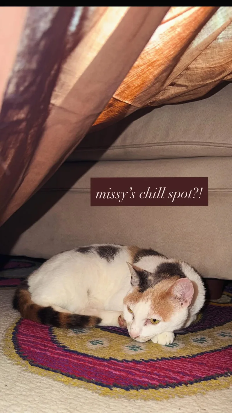 Missy thumbnail 4