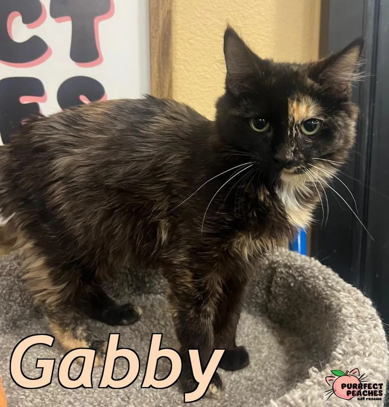 Gabby