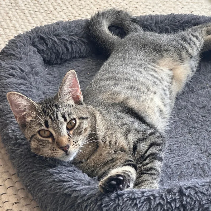 Mia And Nina thumbnail 2