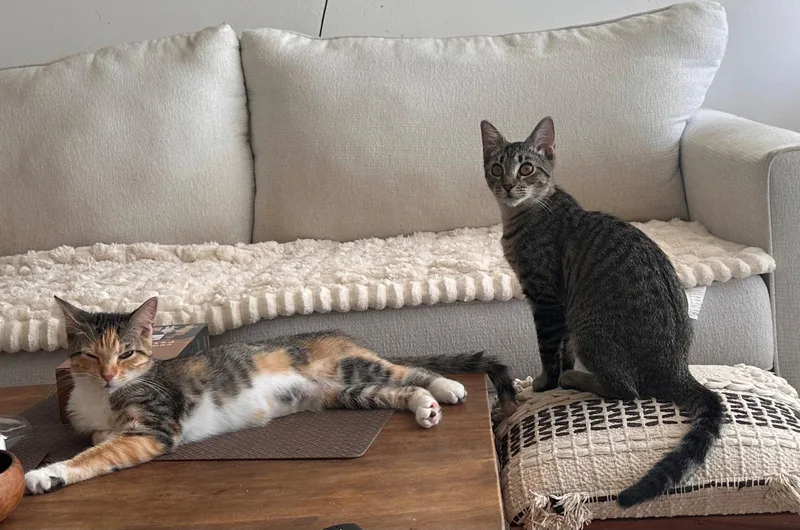 Mia And Nina thumbnail 4