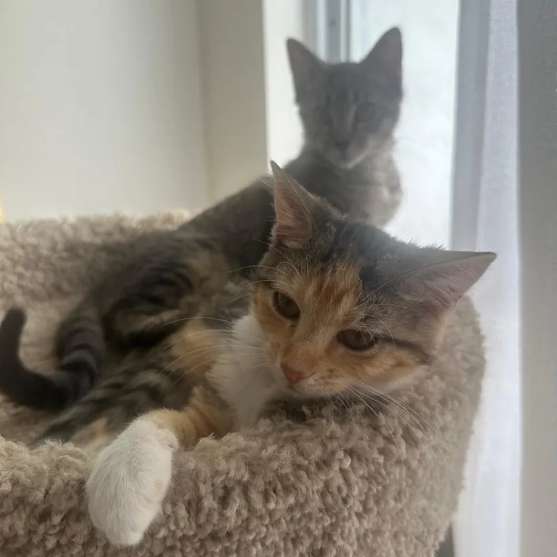 Mia And Nina thumbnail 5