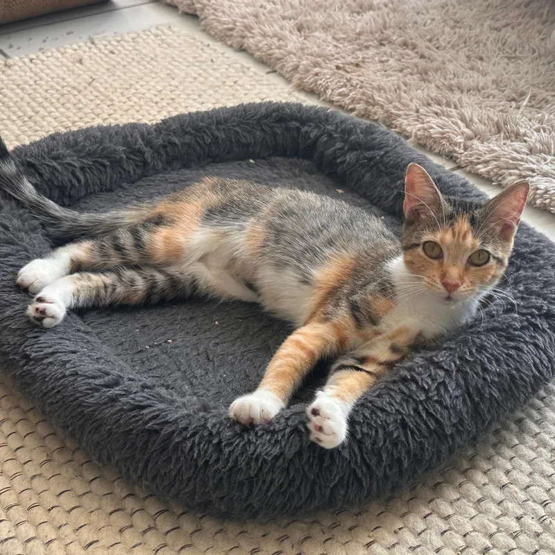 Mia And Nina thumbnail 6