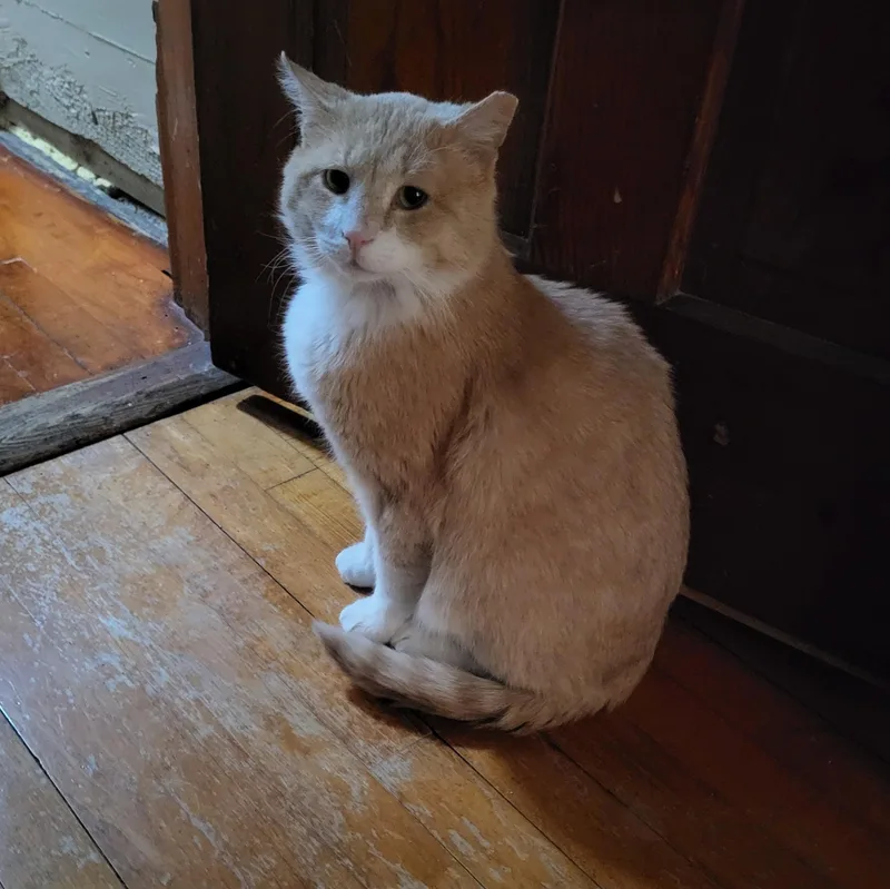 Jude Aka "professor Fluffypants" thumbnail 3