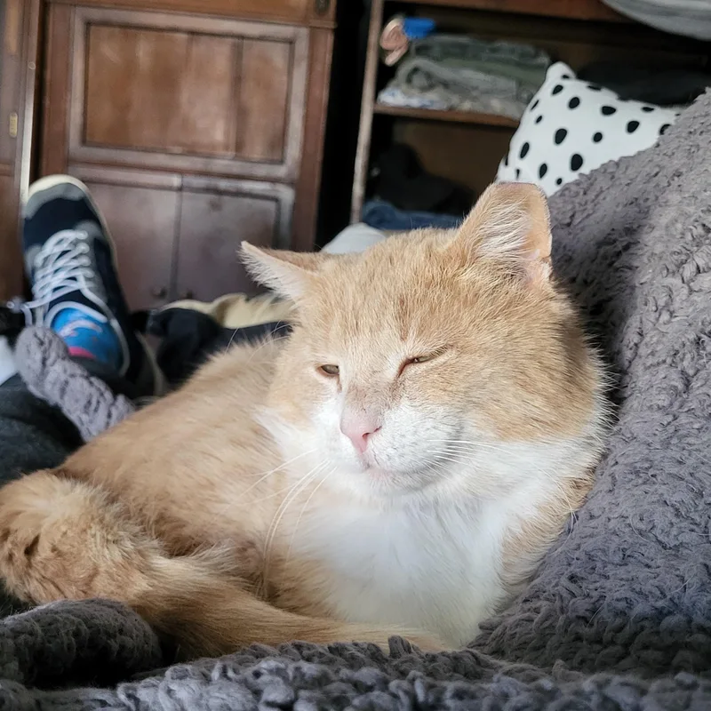 Jude Aka "professor Fluffypants" thumbnail 4
