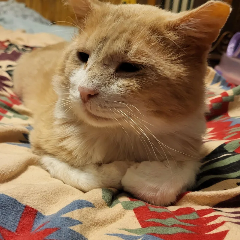 Jude Aka "professor Fluffypants" thumbnail 6