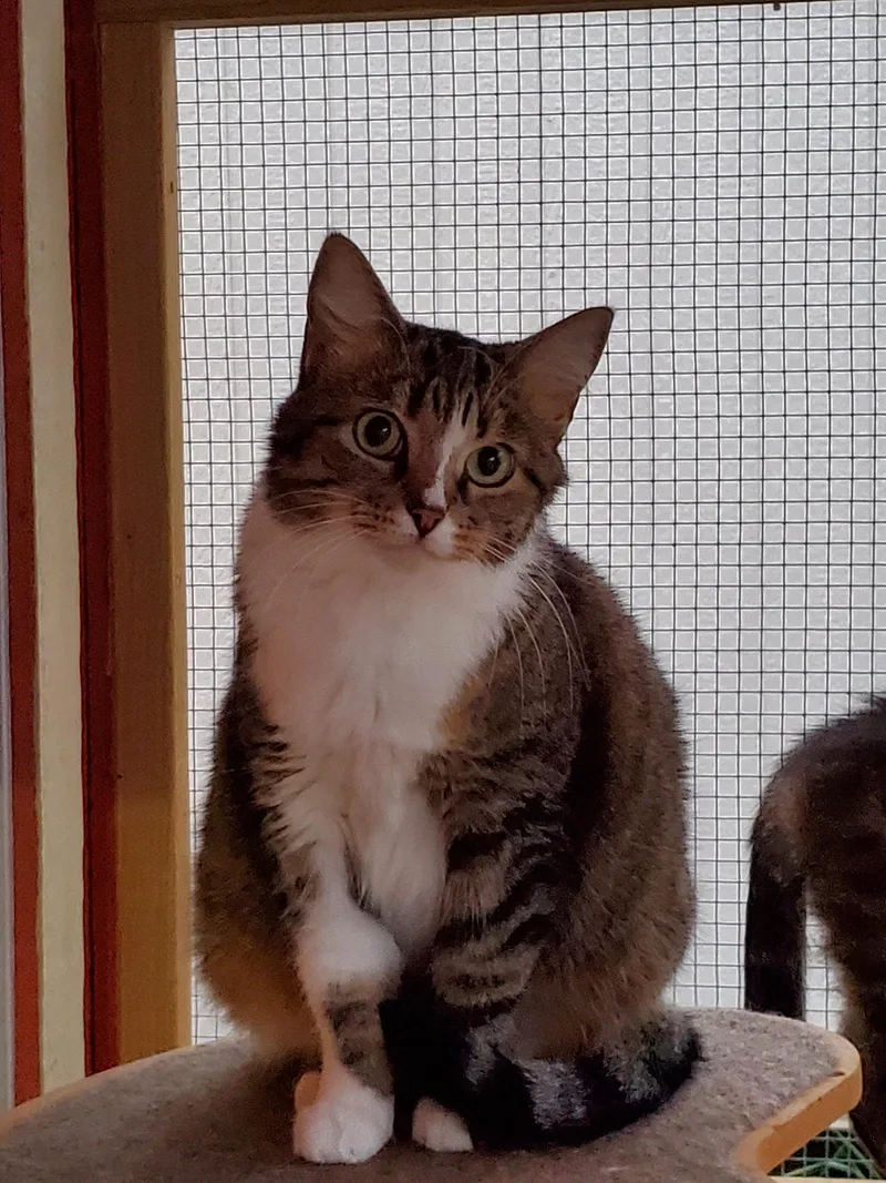 Pepper