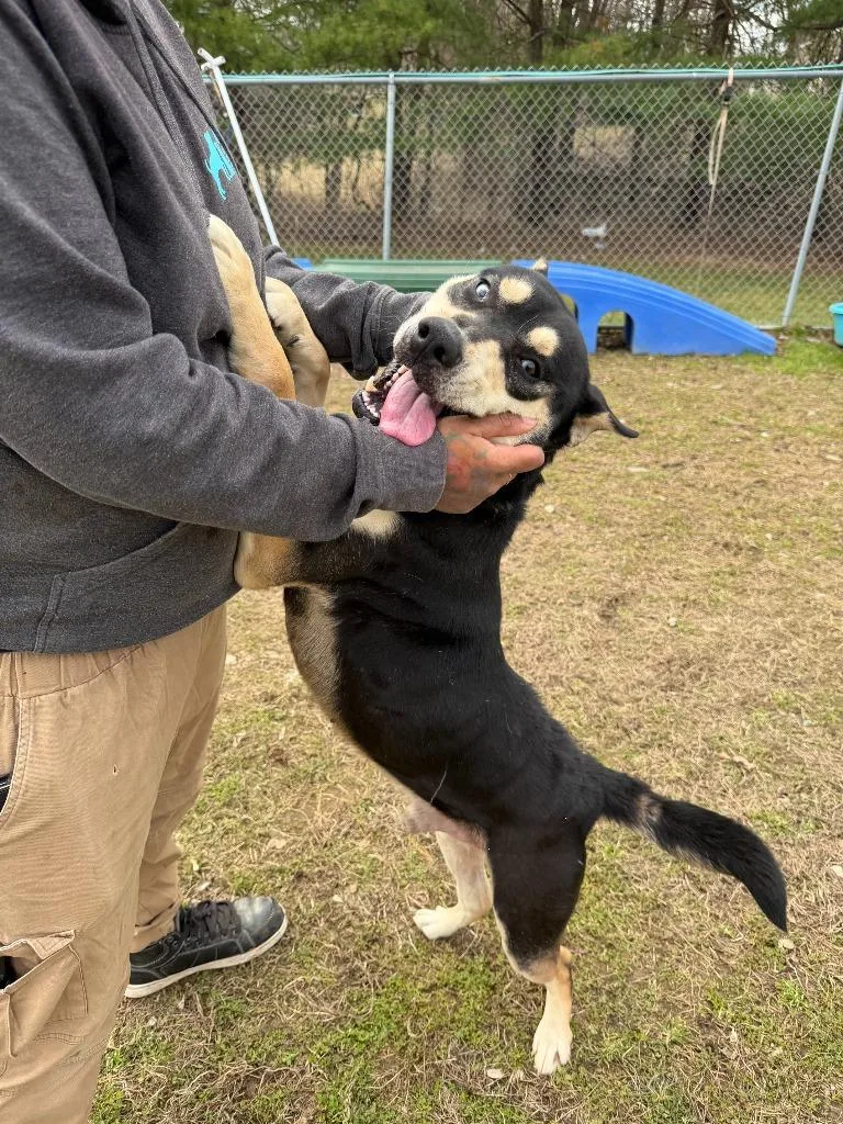 Rock Star thumbnail 2