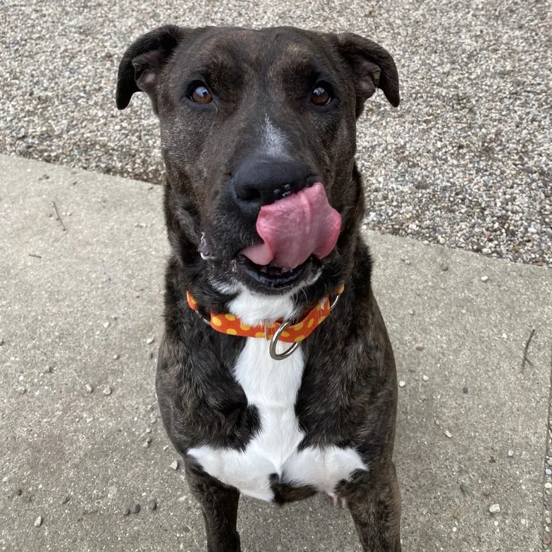 Beasley thumbnail 2
