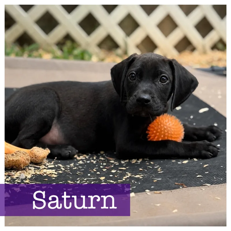 Saturn