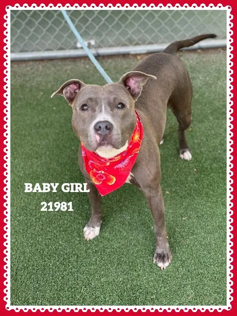 Baby Girl thumbnail 2