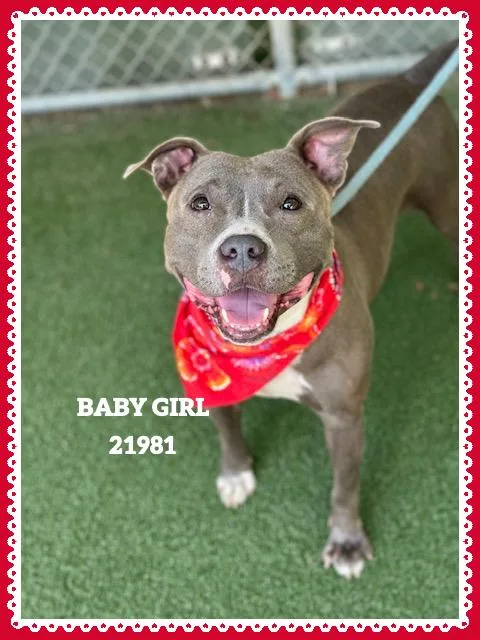 Baby Girl thumbnail 3