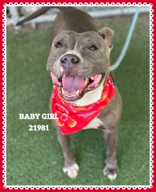 Baby Girl thumbnail 5