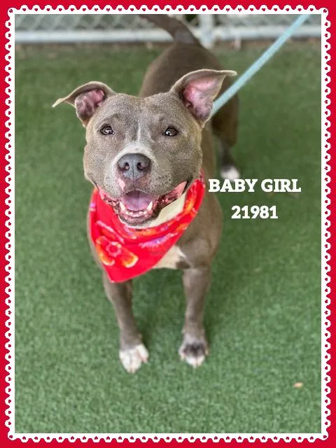 Baby Girl thumbnail 6