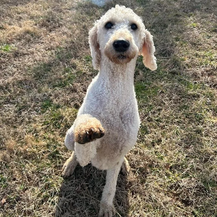 Charlie Richmond thumbnail 2