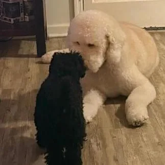 Charlie Richmond thumbnail 5