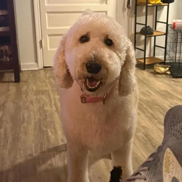 Charlie Richmond thumbnail 6