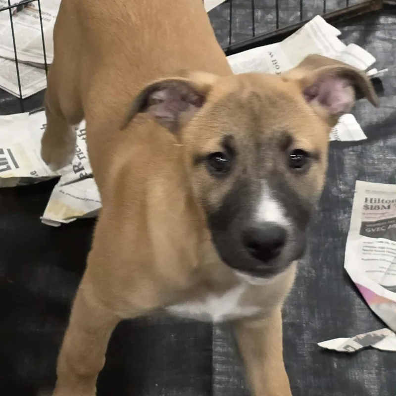 Darlene Fj thumbnail 2