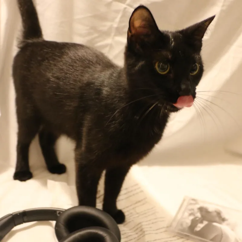 Betty thumbnail 2