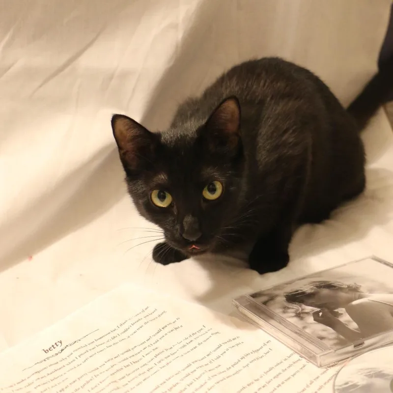 Betty thumbnail 4