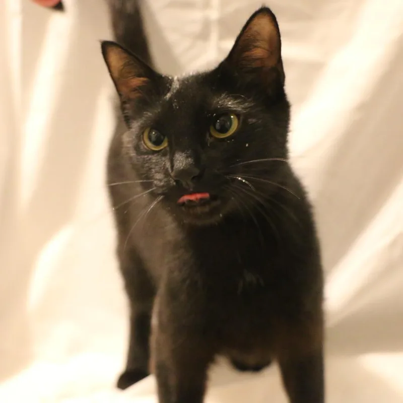 Betty thumbnail 6