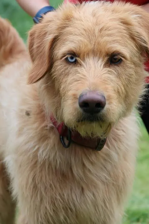 Uncle Clifford thumbnail 2