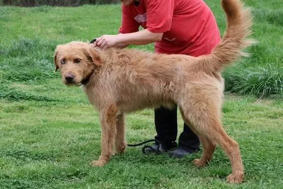 Uncle Clifford thumbnail 3