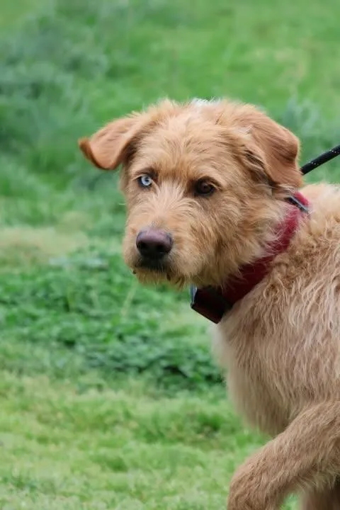 Uncle Clifford thumbnail 4