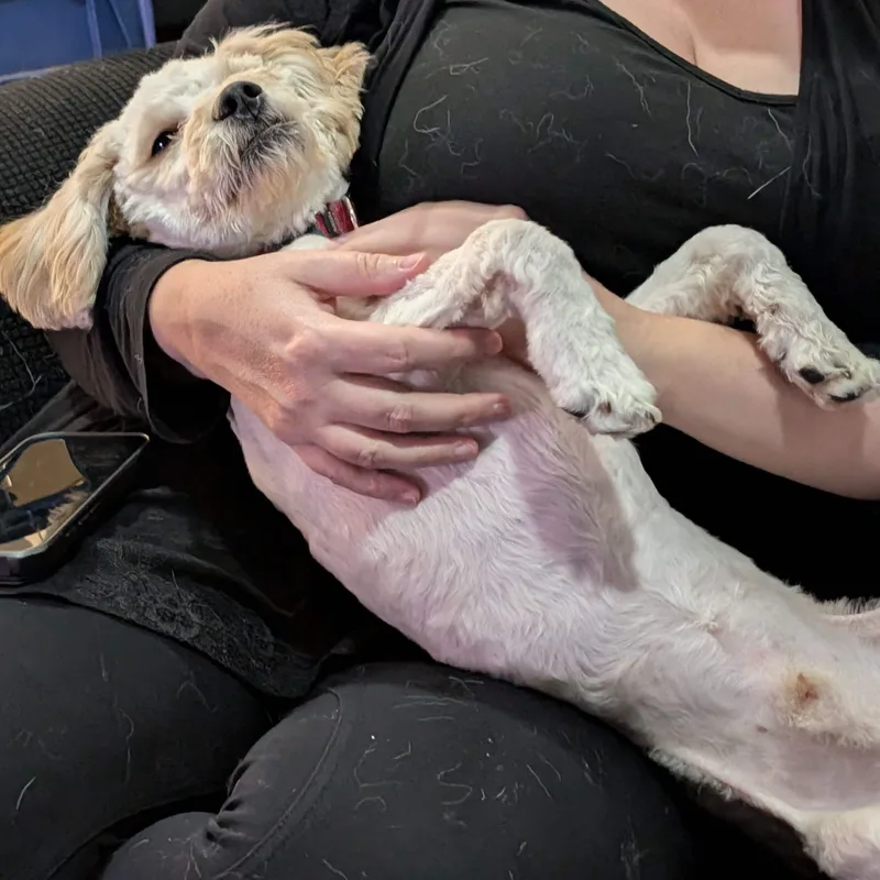 Churro thumbnail 2