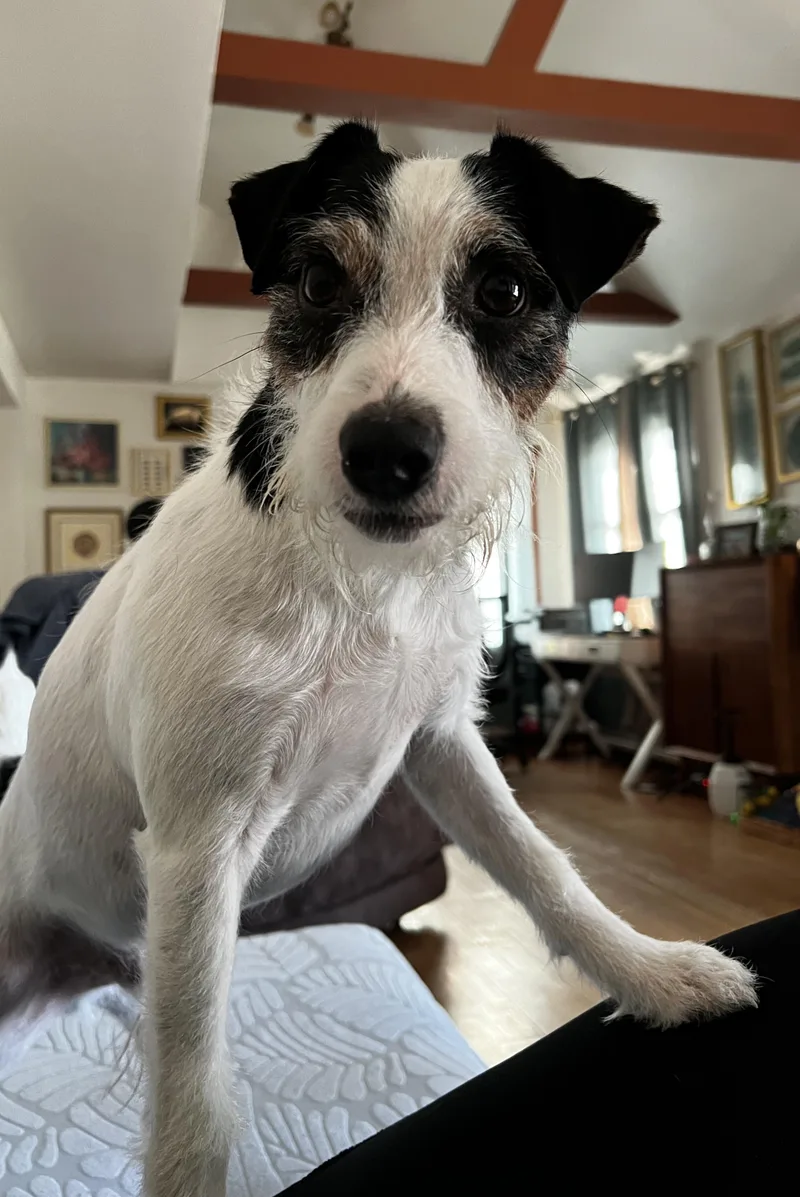 Otis thumbnail 3