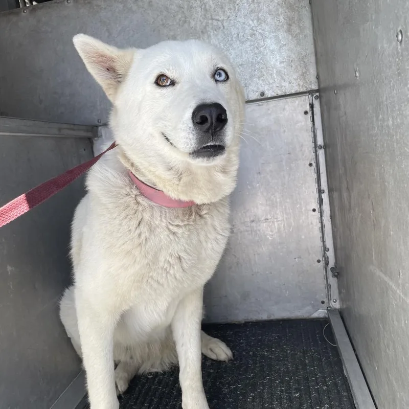 Coco Chanel thumbnail 2